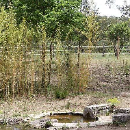 Villa Villekulla Dependance Avec Spa Privatif Le Plan-de-la-Tour エクステリア 写真