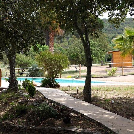Villa Villekulla Dependance Avec Spa Privatif Le Plan-de-la-Tour エクステリア 写真